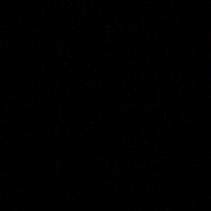 Meet your Posher, Jackson